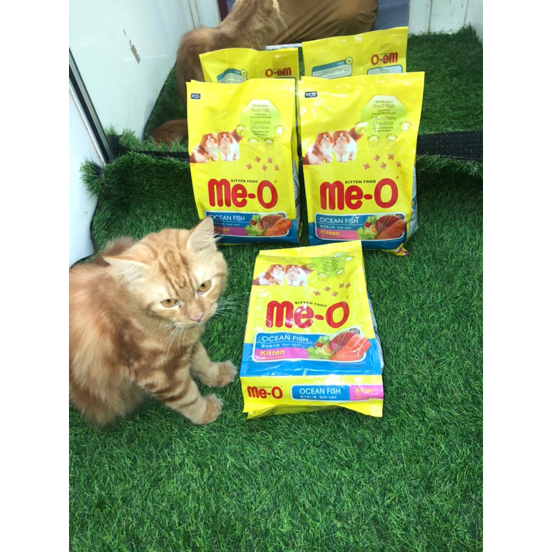 pakan kucing murah meo kitten 1,1kg rasa ikan laut