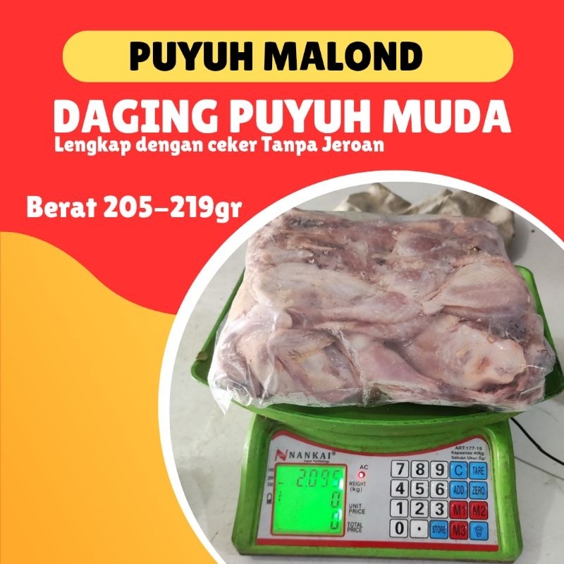 

Daging Burung Puyuh Malond Muda Berat 200gr Up.