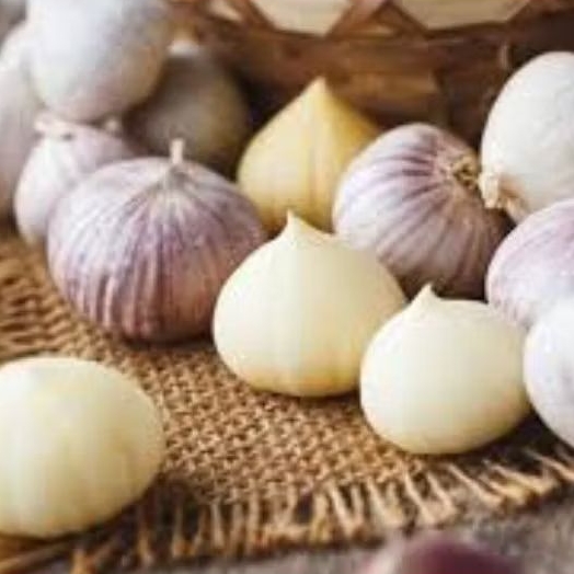

Bawang putih tunggal ukuran besar berat 250 grm