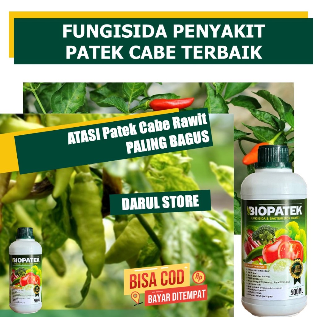 BIOPATEK 500 ml Fungisida & Bakterisida Hayati Obat Patek Tanaman Cabe, Obat Patek Cabe Rawit, Obat 