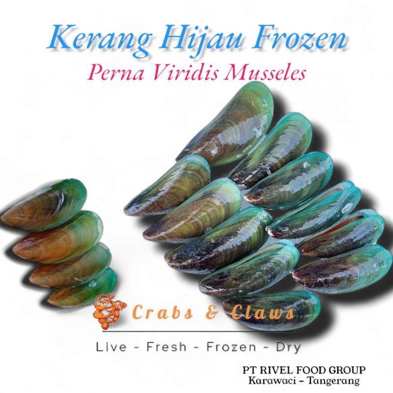 

Kerang Hijau Besar Frozen 1kg