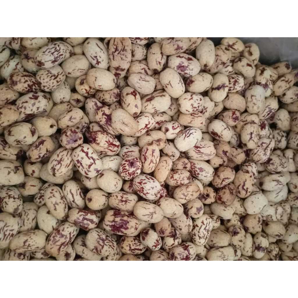 

Angco Merah Tanpa Biji Tanpa Kulit Red Dates Hong Zao Kurma Merah