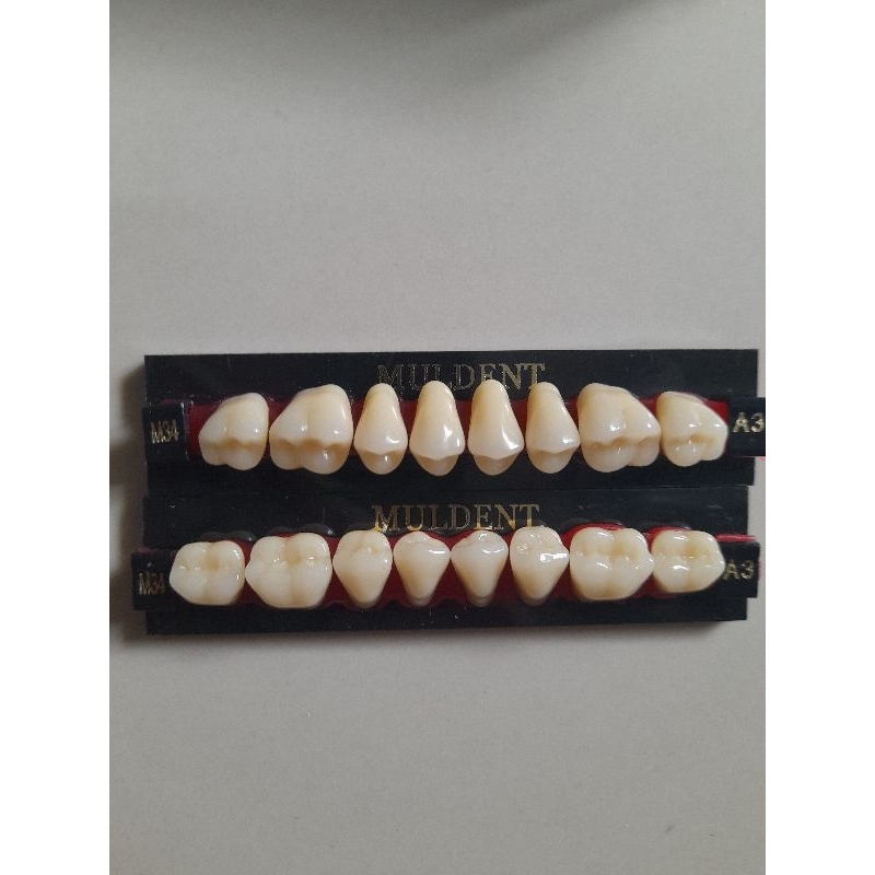 Gigi Palsu Muldent Posterior Atas atau Bawah