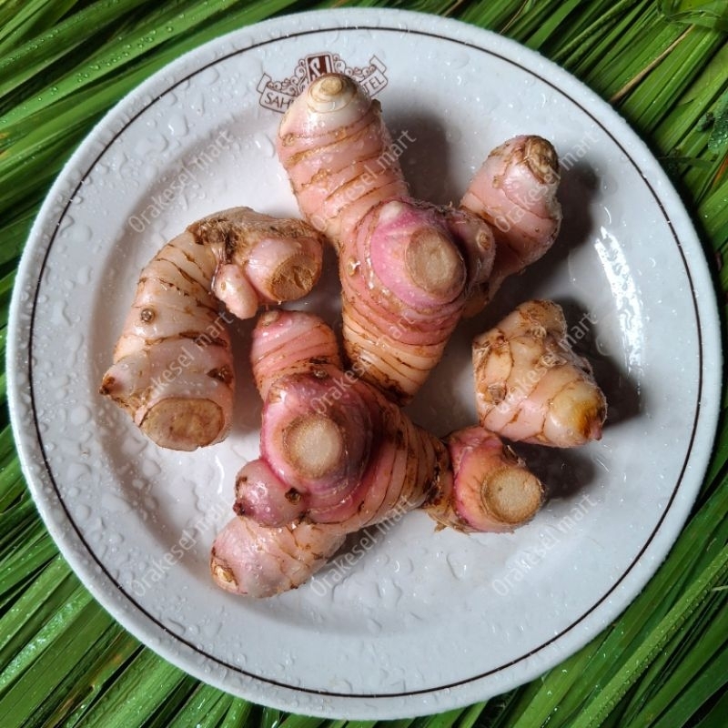 

Lengkuas Segar 1kg dicuci bersih