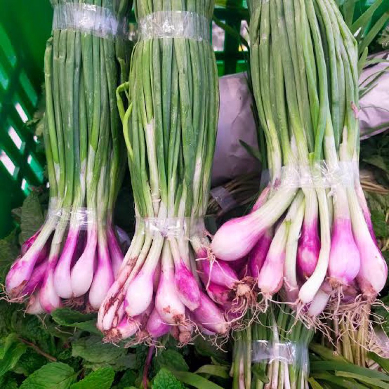 

DAUN BRAMBANG BAWANG
