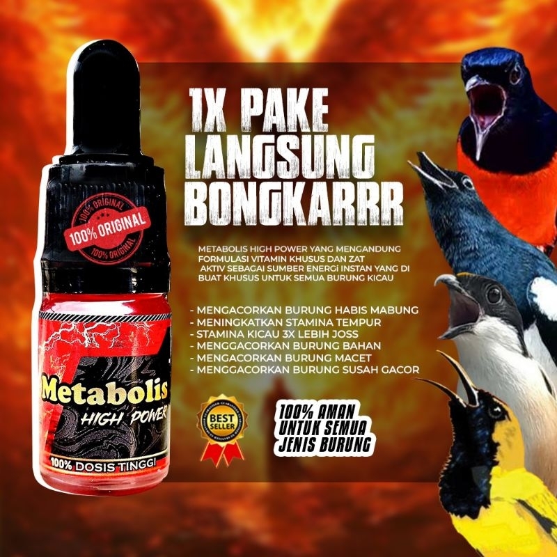 METABOLL MERAH/HIGH METABOLIS DOSIS TINGGI AMPUH UNTUK MENGGACORKAN BURUNG SOGON,KOLIBRI,KACER,CENDE