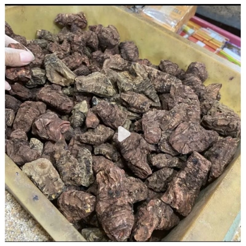 

Kelembak Kering Kecil 500 gram