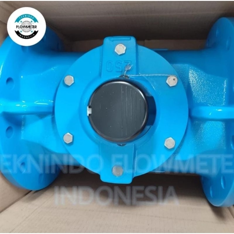 Water Meter ITRON 10 inch