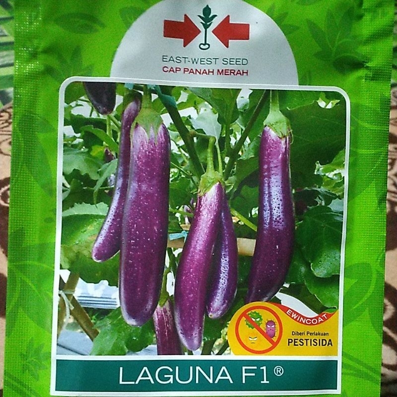 Bibit Terong ungu Laguna F1 Cap Panah Merah