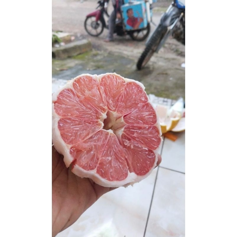 

jeruk pamelo madu muria berat 700-800 gram