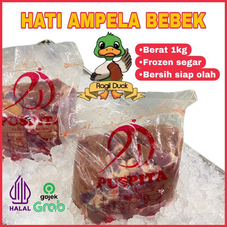 

Hati Ampela Bebek