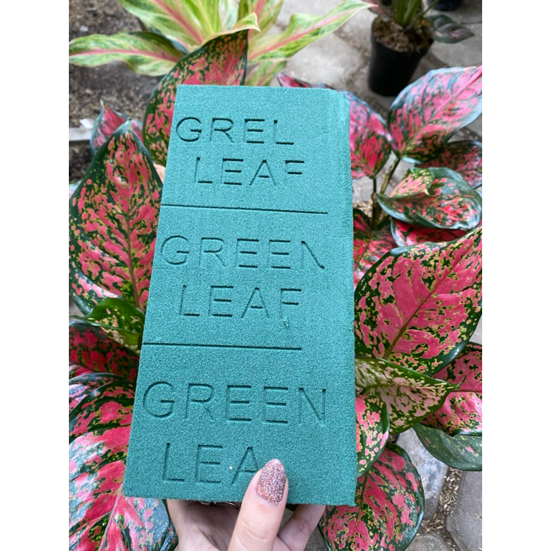 

FLORAL FOAM GREEN LEAF BASAH 3bar
