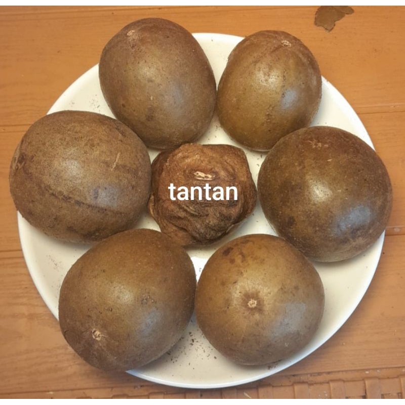 

lohankuo
