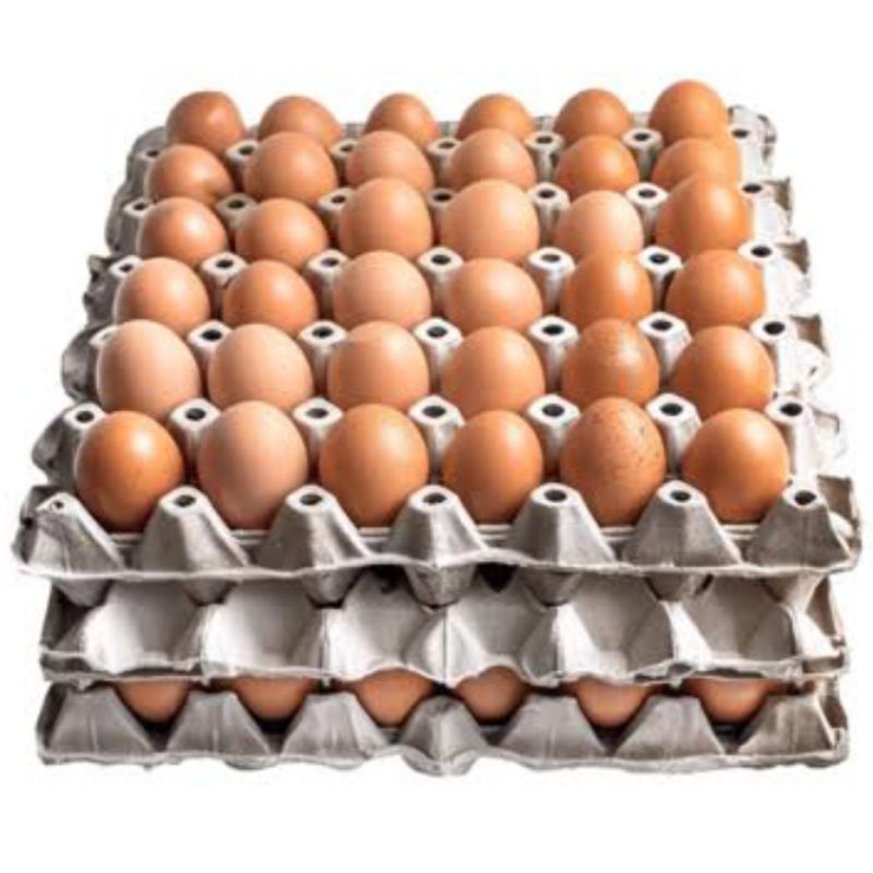 

Telur Ayam Besar