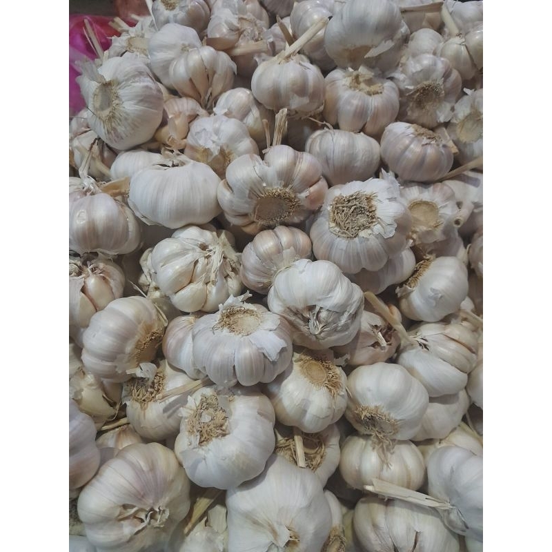 

Bawang putih