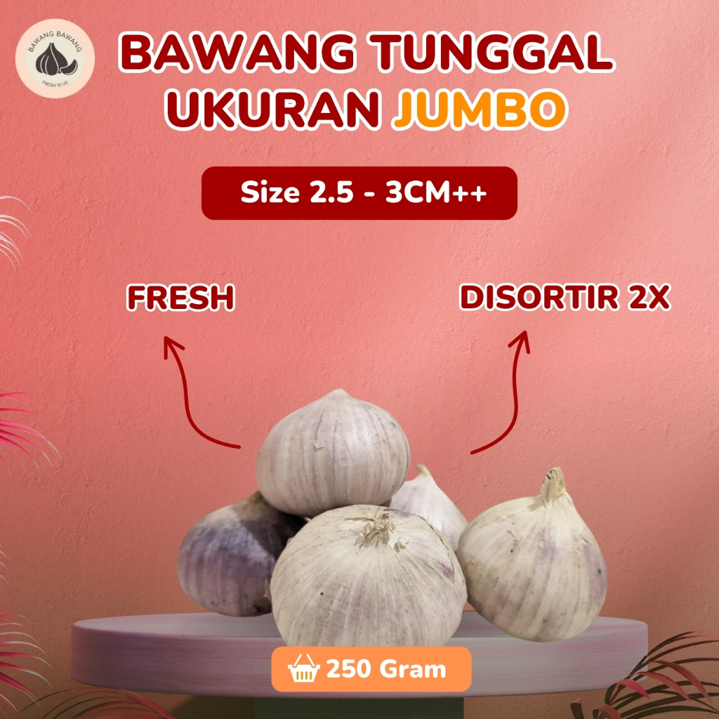 

DA Bawang Putih Tunggal Lanang JUMBO 2.5 Cm 250 GR