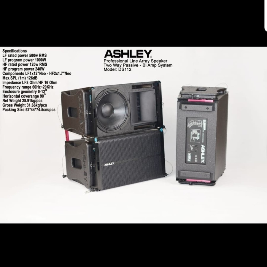 SPEAKER LINE ARRAY ASHLEY DS112/DS 112 12IN TWO Way PASSIVE
