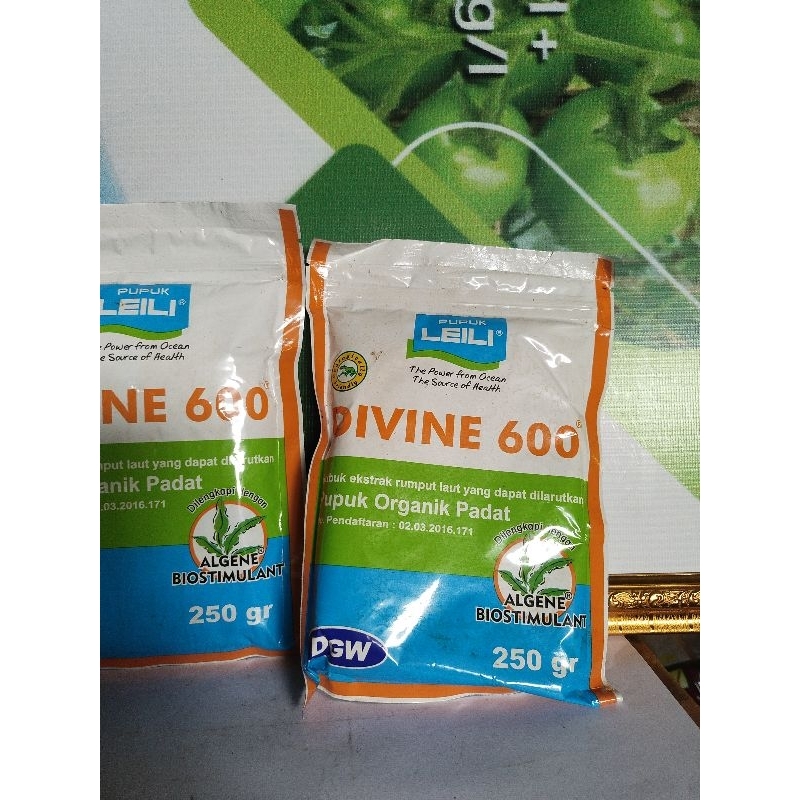 

divine250gr leili produk