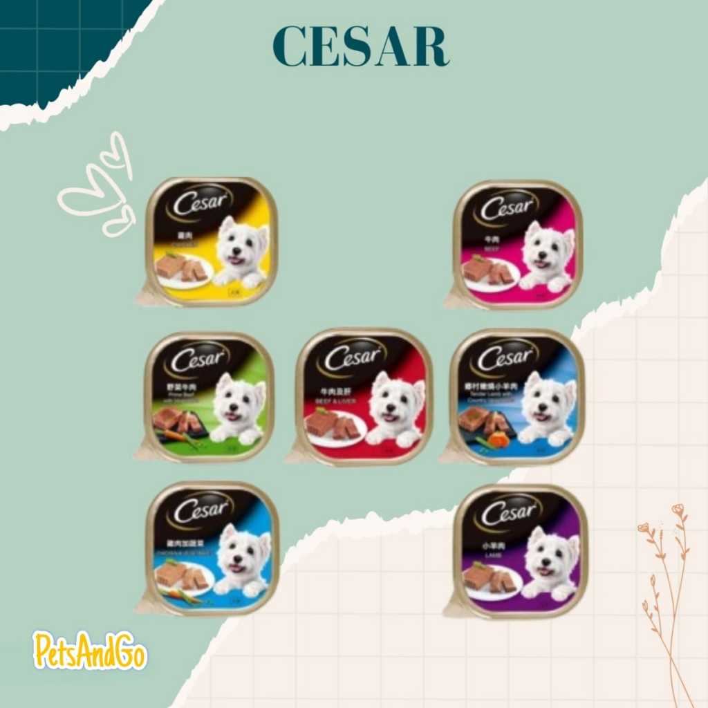 Cesar Wet Dog Food / Cesar Wet Dog Food