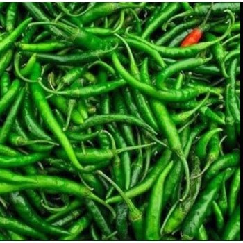 

Cabe Hijau Keriting / Curly Greens Chilies 500gr