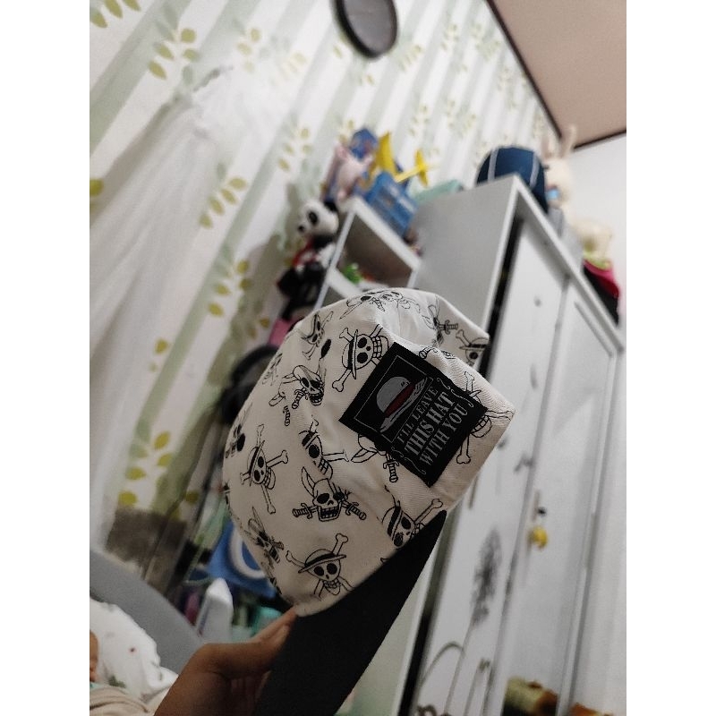 one piece series Universal Studio official