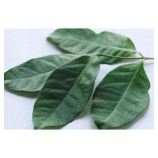 

Daun Salam / Bay Leaf Per Pack