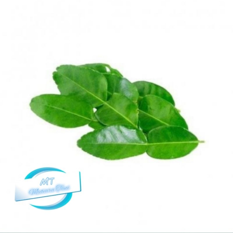 

daun jeruk segar 100gr