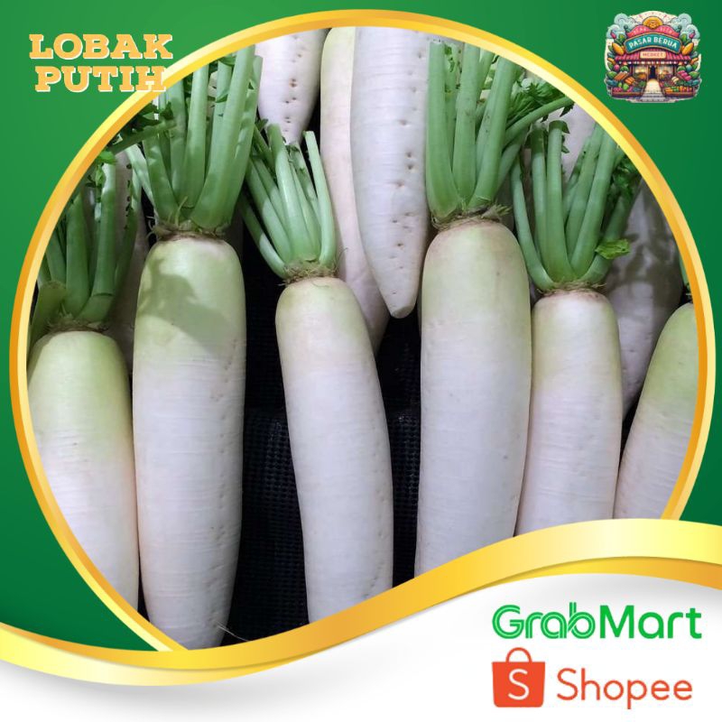 

Sayur Lobak putih ~ Murah Pasar Induk Daring