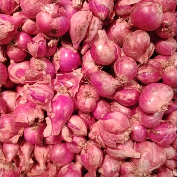 

Bawang merah Brebes sedang Asli 700gr