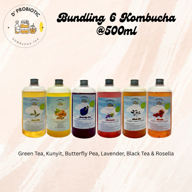 

BUNDLING KOMBUCHA 6 x 500 ML D'PROBIOTIC