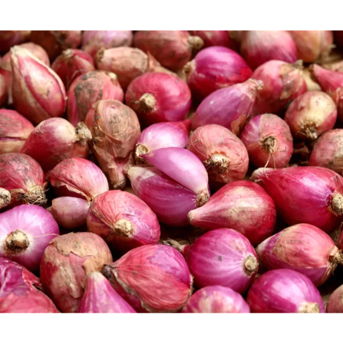 

Bawang Merah Paket Hemat Hanya 7RB