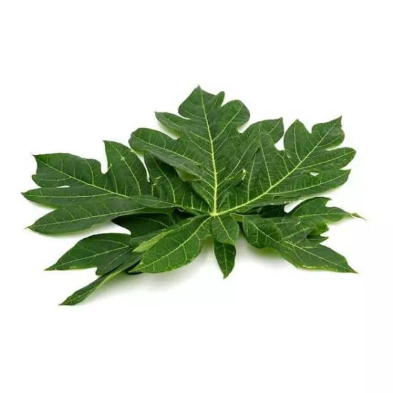 

daun pepaya 100 gram