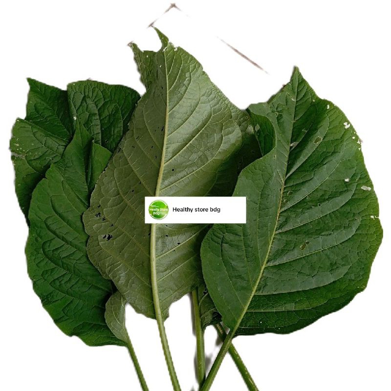 

Daun kecubung segar petik langsung paket 1 kg