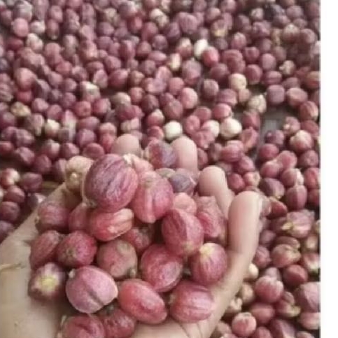 

Promo kapulaga jwa 1 kg