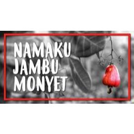 

Buah dan Daun Jambu Mete Monyet Kering