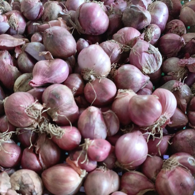 

MURAH!! BAWANG MERAH