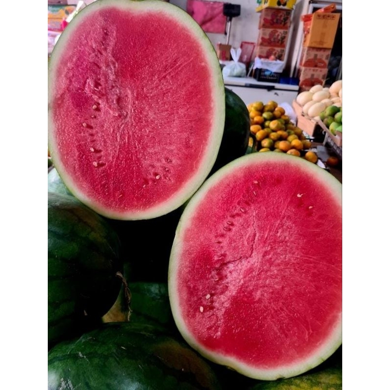 

semangka merah non biji perkilo dan butiran