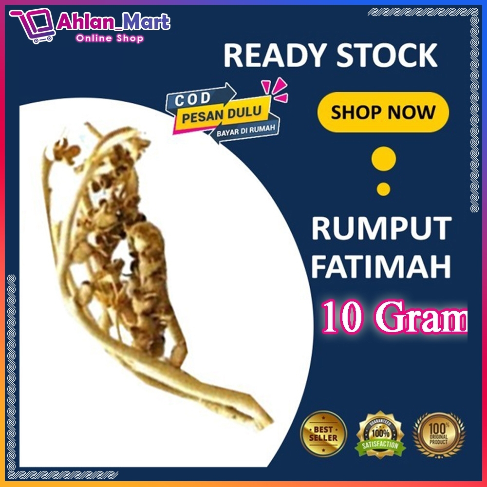 

Rumput Fatimah Kaff Maryam Arab Saudi