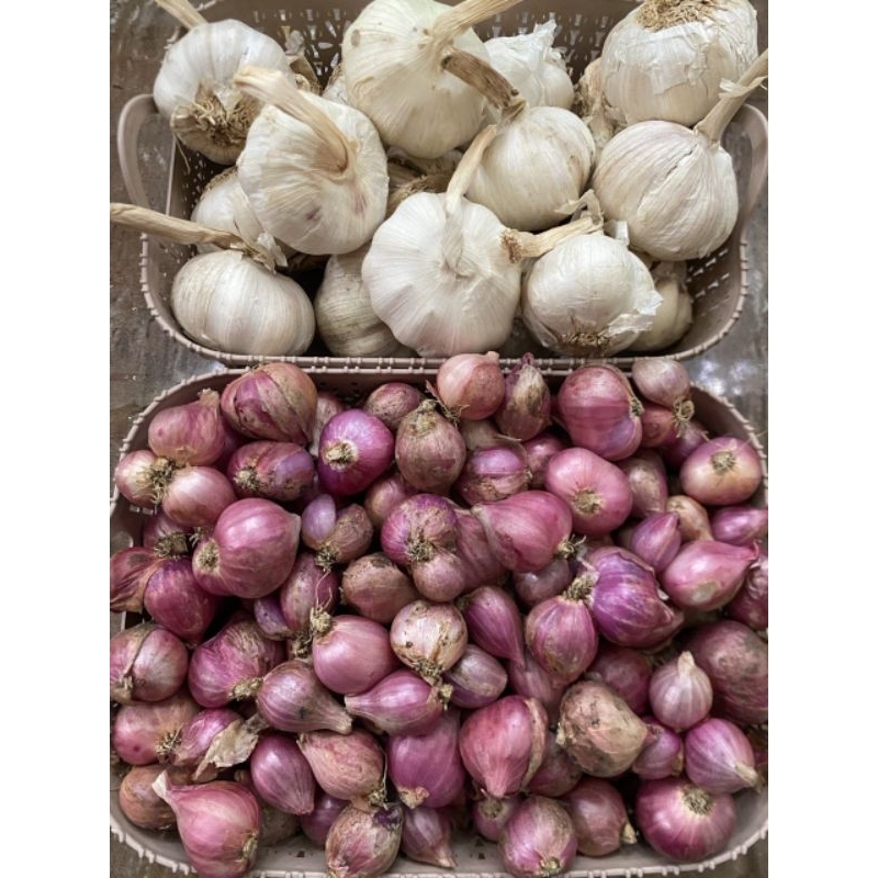 

paket bamer sedang 750gr + baput sinco 250gr TERMURAH (B)
