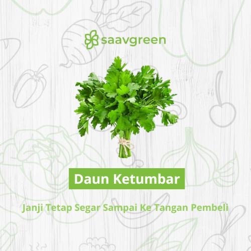 

Daun Ketumbar Segar