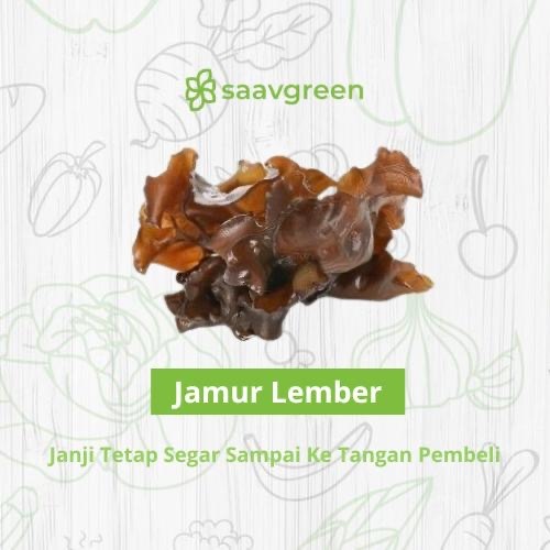 

Jamur Kuping Lember Segar
