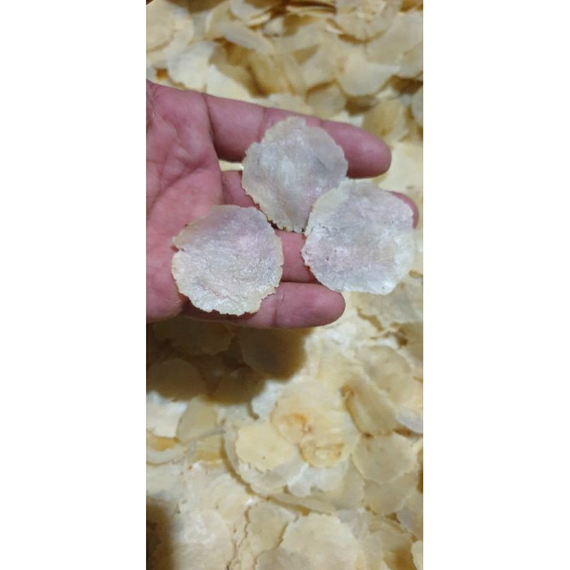

emping mlinjo asli khas limpung full kering biji 1