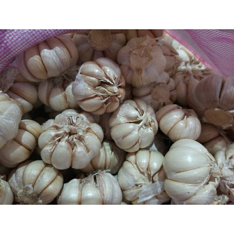 

Bawang Putih Termurah 1kg dan 500gr