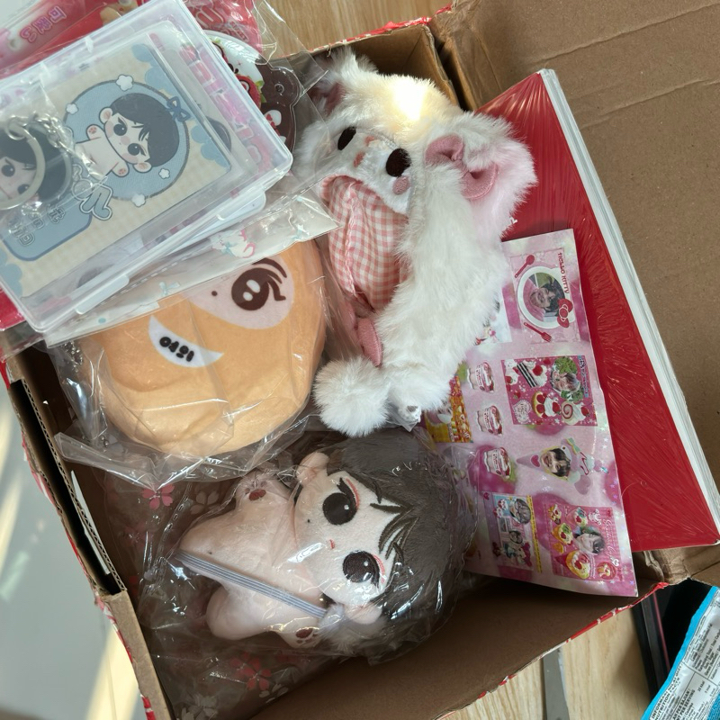 jungwon enhypen doll wongugi with ears birthcard dan keychain mangowon 10 cm clothes kucing bulu cah