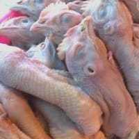 

Kepala ayam broiler/negeri besar