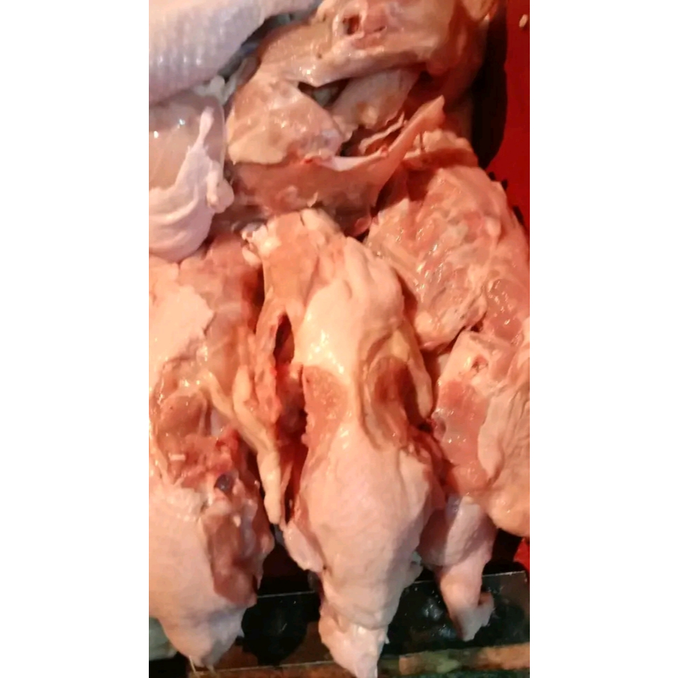 

Tulang kerongkong ayam (1-KG)