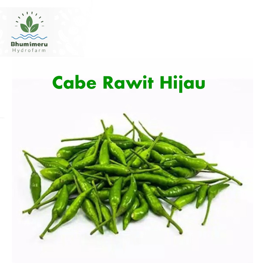 

Cabe Rawit Hijau Premium Pilihan 1 kg
