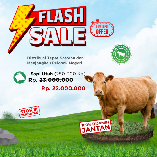 

KURBAN / QURBAN SAPI UTUH PREMIUM - DOMPET DHUAFA