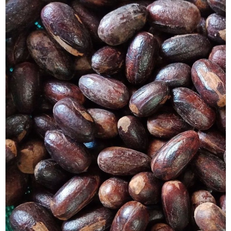 

Biji Pala lonjong asal papua rempah penyedap bumbu masakan