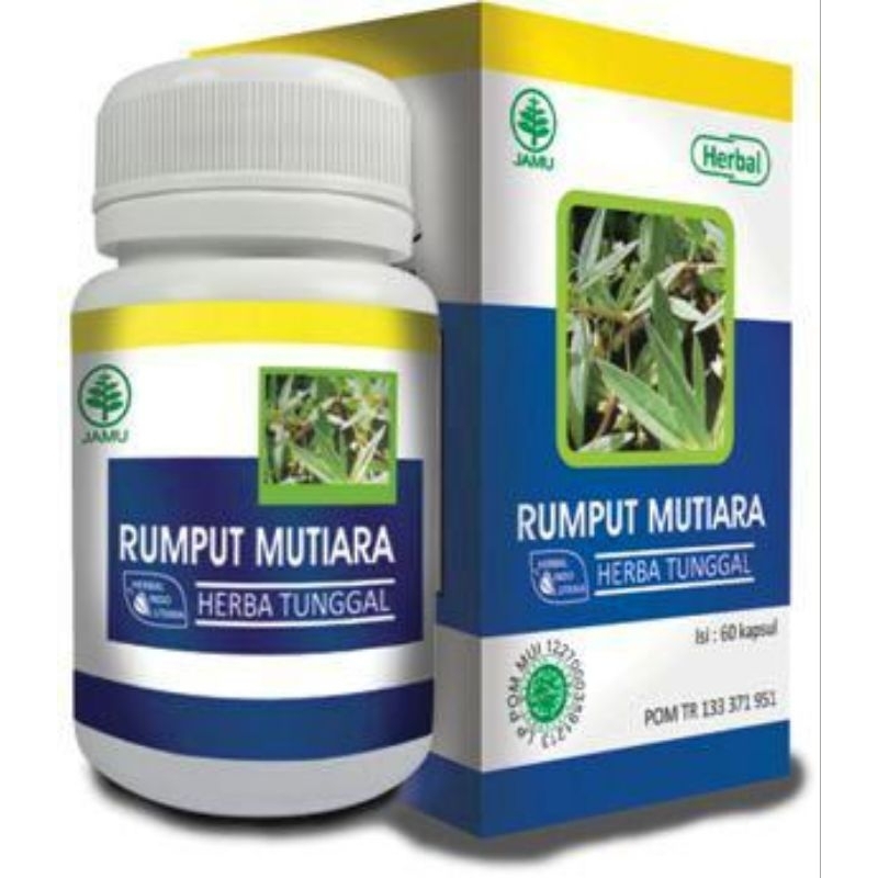 

Rumput Mutiara